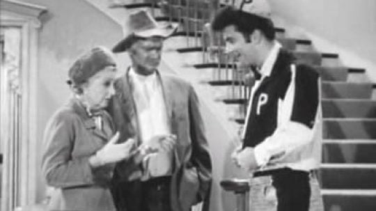 The Beverly Hillbillies - 8. epizoda