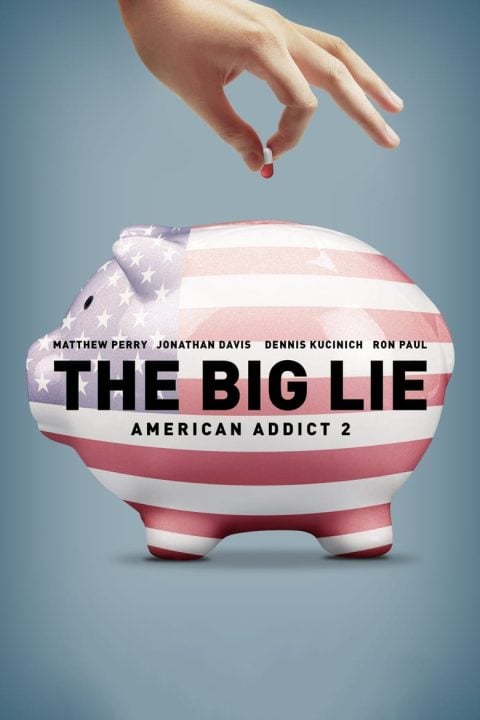 Plakát The Big Lie: American Addict 2