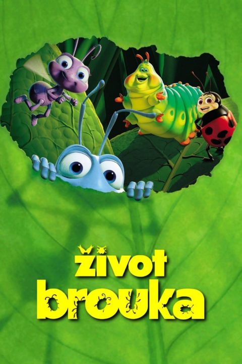 Plakát Život brouka