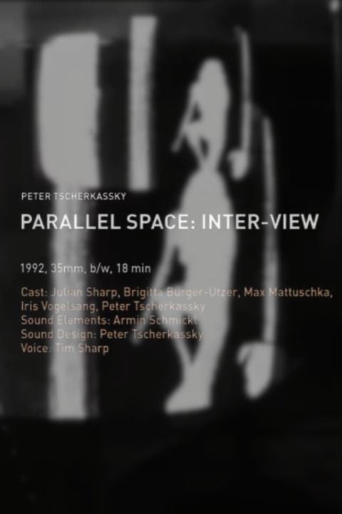 Plakát Parallel Space: Inter-View