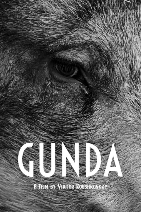 Plakát Gunda