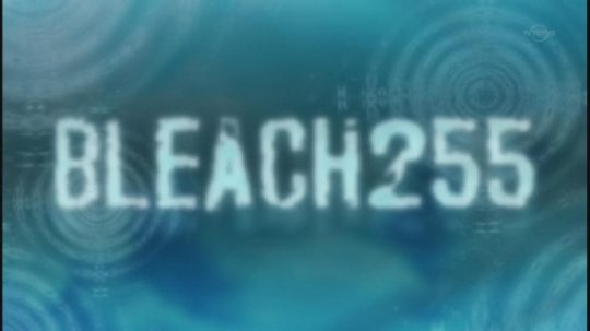 Bleach - 255. epizoda