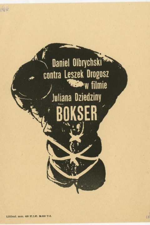 Bokser