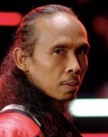 Yayan Ruhian