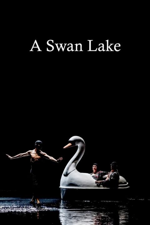 Plakát A Swan Lake