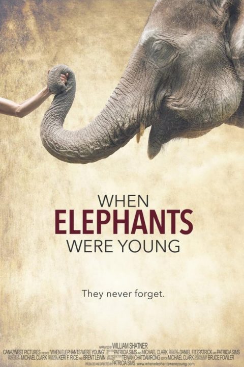 Plakát When Elephants Were Young