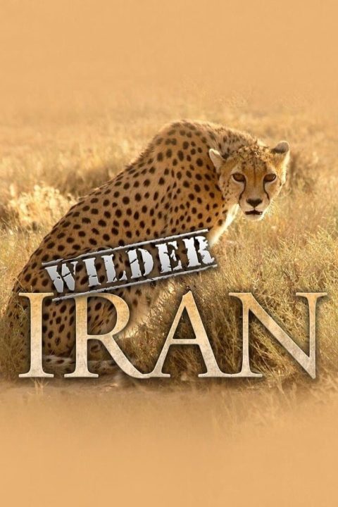 Plakát Wilder Iran