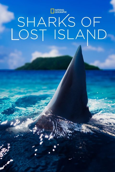 Plakát Sharks of Lost Island