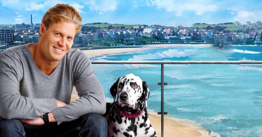 Bondi Vet