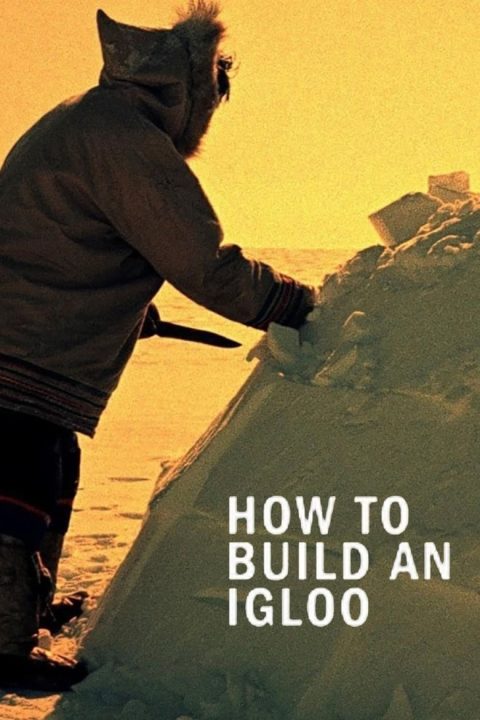 Plakát How to Build an Igloo