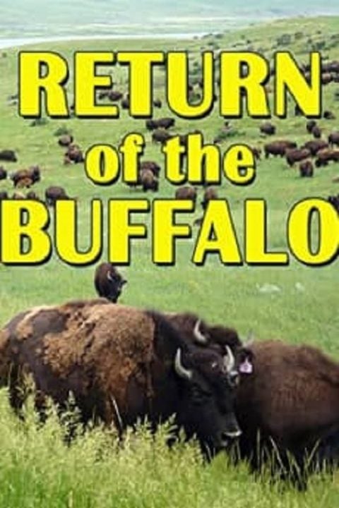 Plakát The Return of the Buffalo: Restoring the Great American Prairie