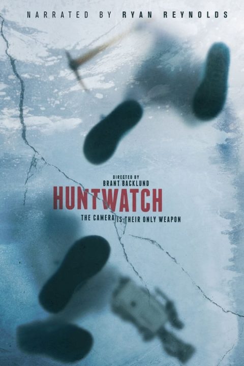 Plakát Huntwatch