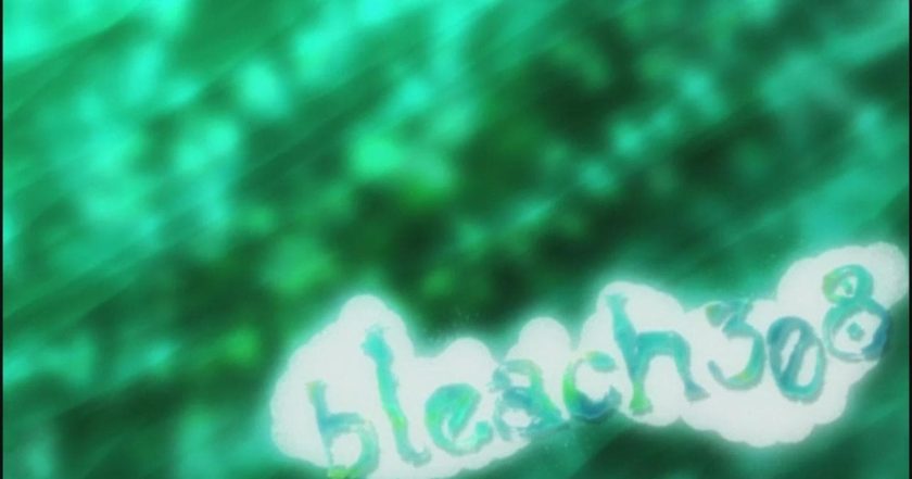 Bleach