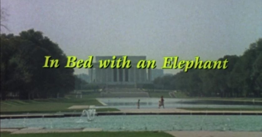 In Bed with an Elephant