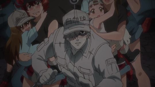 Hataraku saibou - 11. epizoda