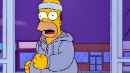 Simpsonovi - Homer horolezcem