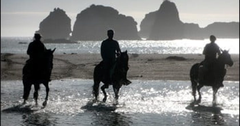 Anthony Bourdain: No Reservations