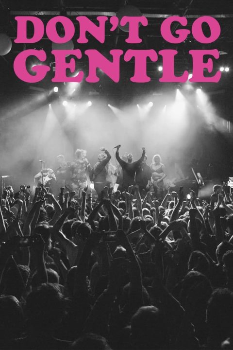 Plakát Don't Go Gentle: A Film About IDLES