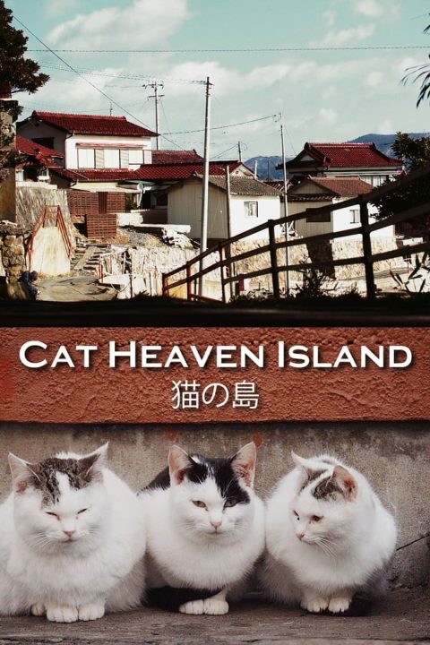 Plakát 猫の島