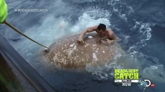 Deadliest Catch - 15. epizoda