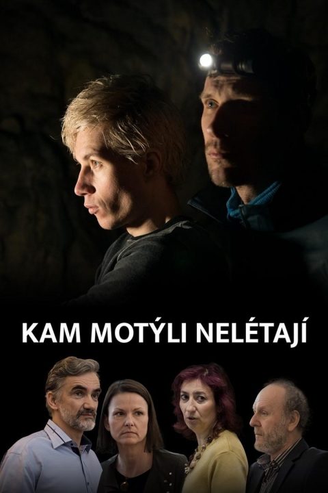 Kam motýli nelétají