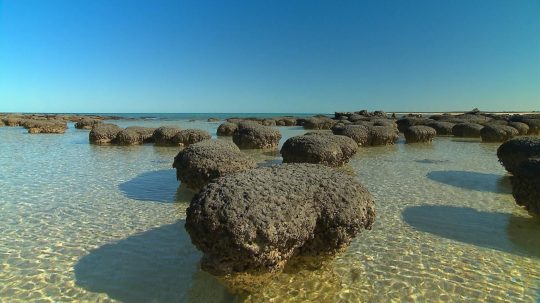 Australia’s First 4 Billion Years - 1. epizoda