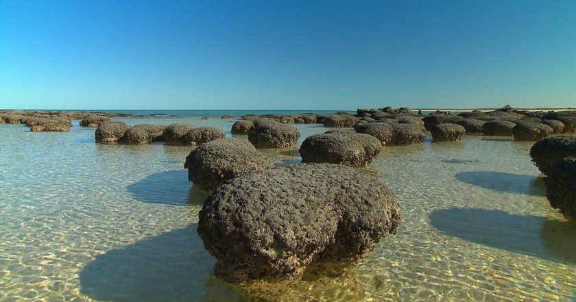 Australia's First 4 Billion Years