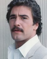 Lee Horsley