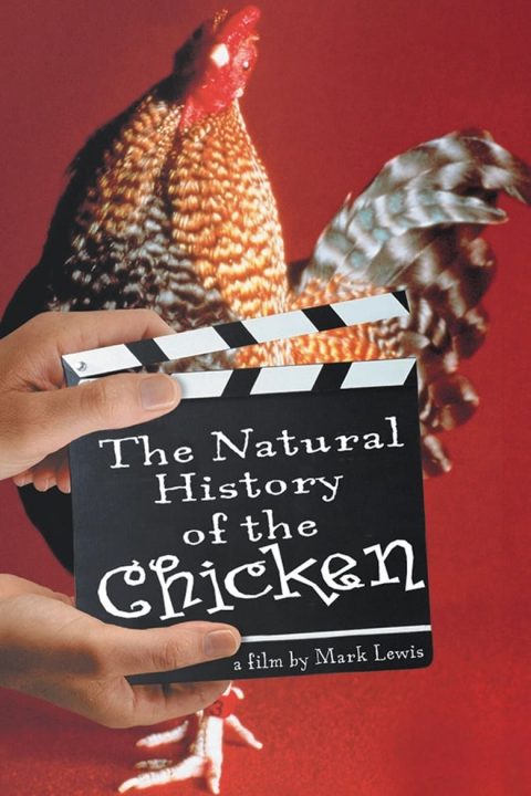 Plakát The Natural History of the Chicken