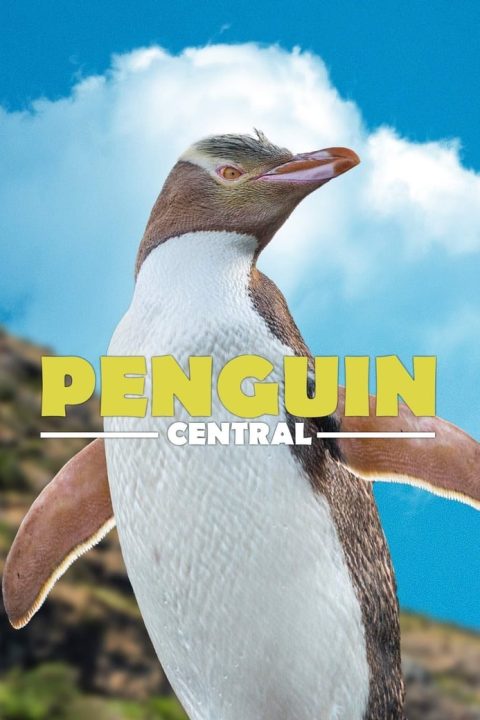 Plakát Penguin Central