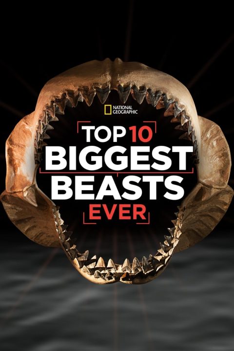 Plakát Top 10 Biggest Beasts Ever