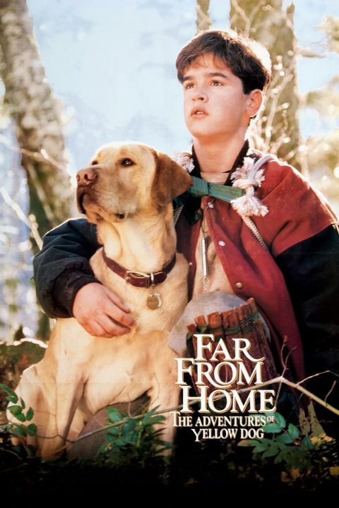 Plakát Far from Home: The Adventures of Yellow Dog