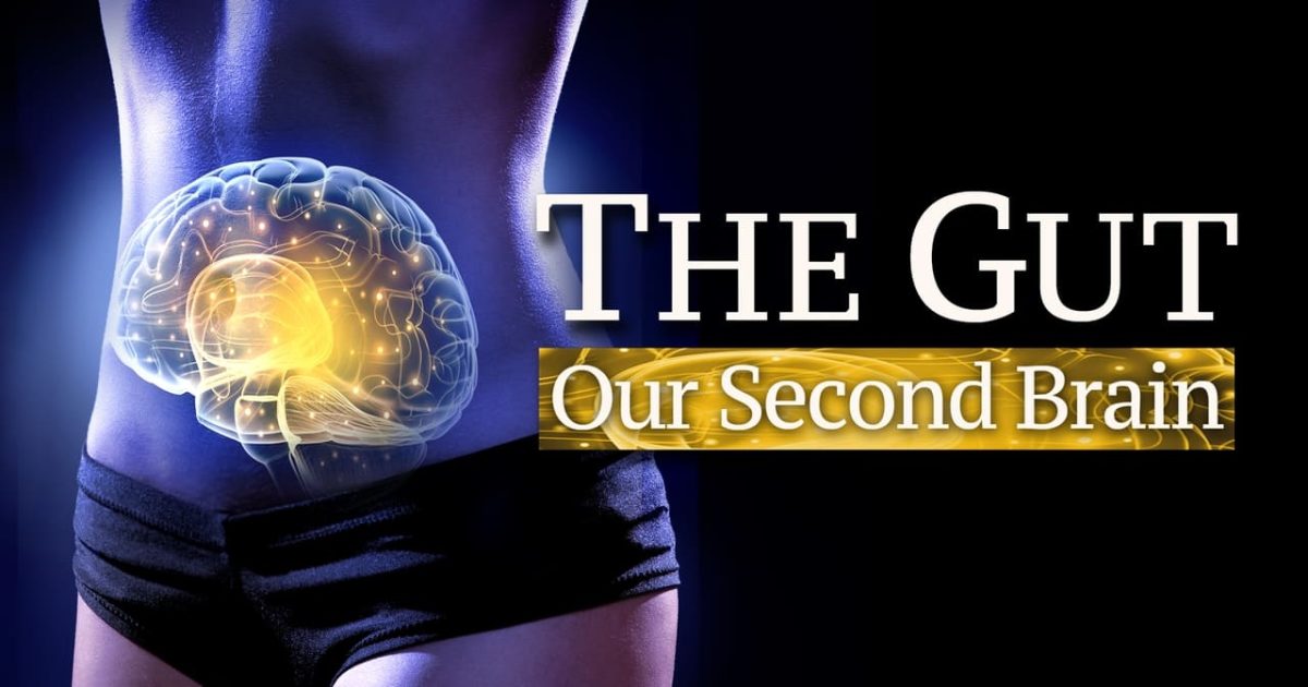 The Gut: Our Second Brain