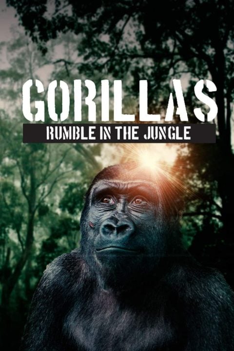 Plakát Gorillas: Rumble in the Jungle