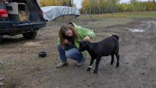 Dr. Oakley, Yukon Vet - 1. epizoda