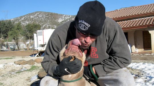 Pit Bulls and Parolees - 3. epizoda