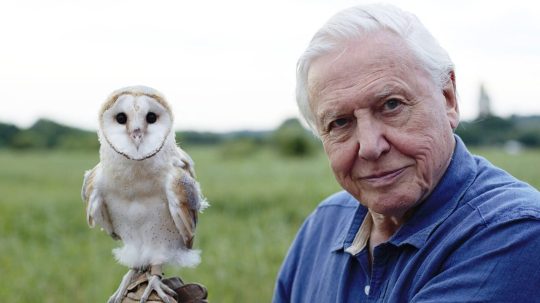 David Attenborough: Život v oblacích - 3. epizoda