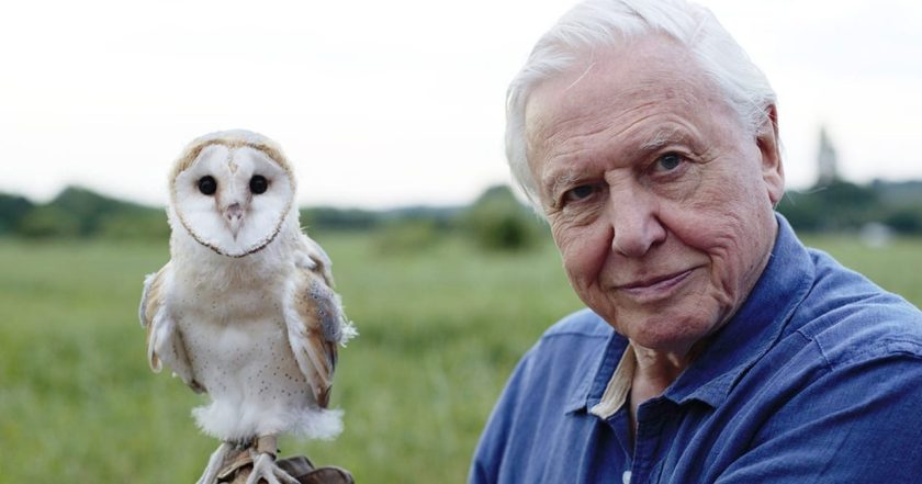 David Attenborough: Život v oblacích