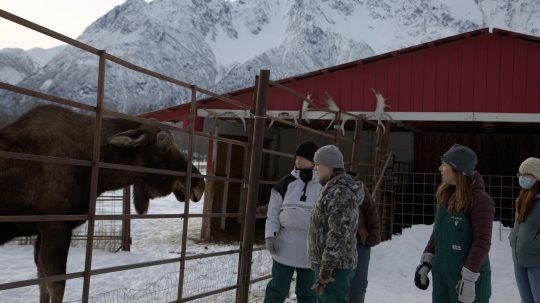 Dr. Oakley, Yukon Vet - 2. epizoda