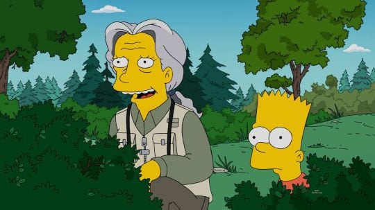 Simpsonovi - Dokonalý vnuk