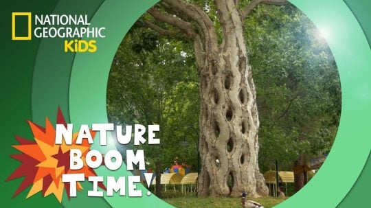 Nature Boom Time - 9. epizoda