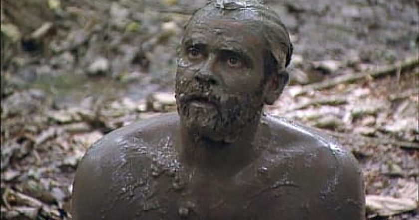 Survivor (USA)