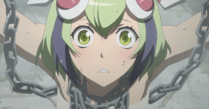 Dimension W