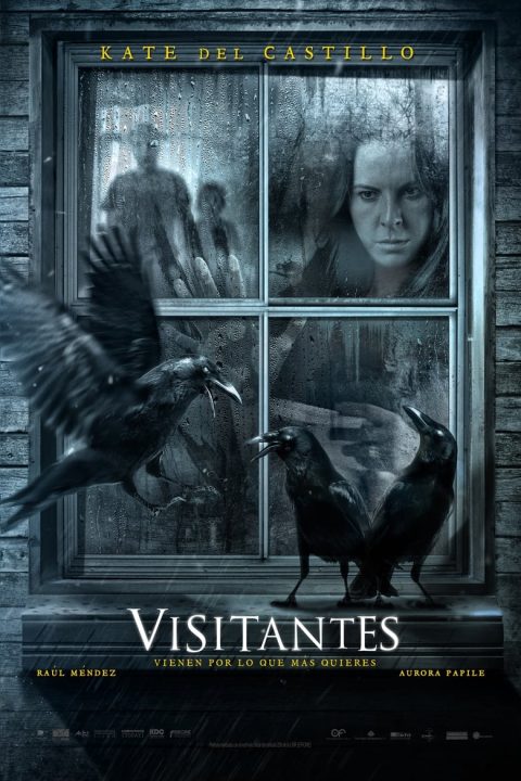 Visitantes