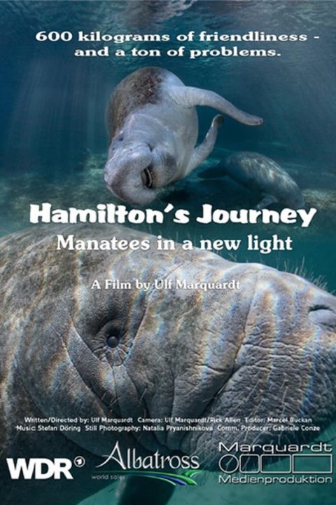 Plakát Hamilton's Journey - Manatees in a New Light