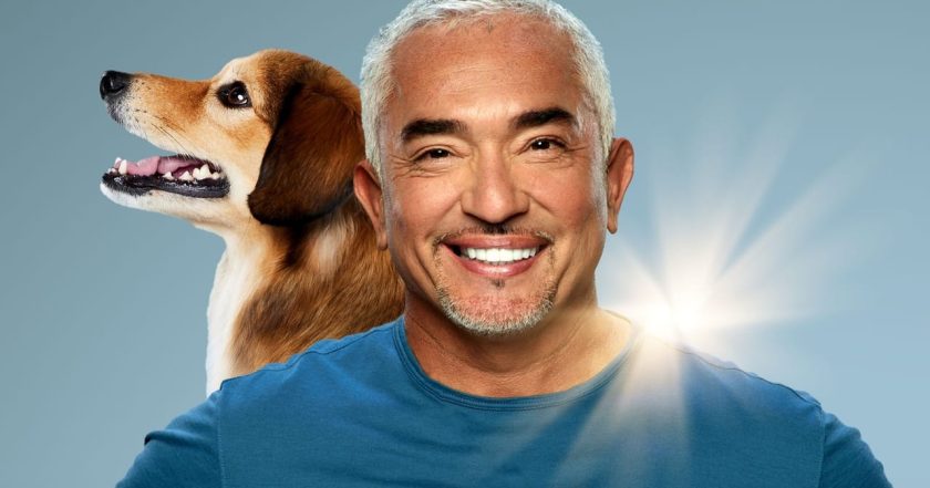 Cesar Millan: Jaký pán, takový pes