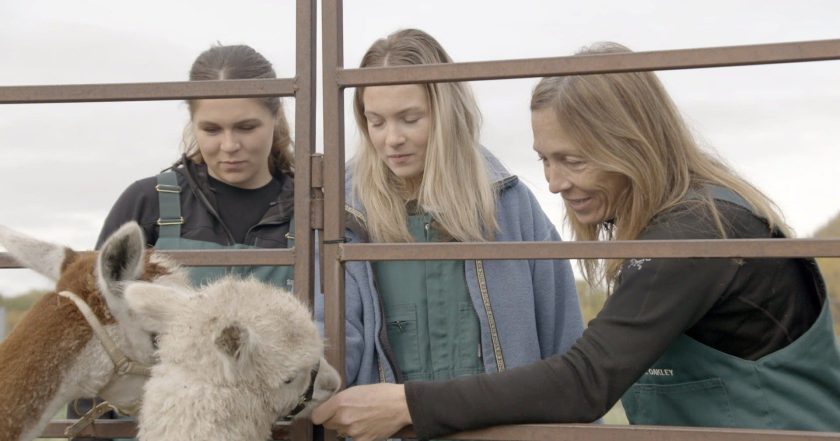 Dr. Oakley, Yukon Vet