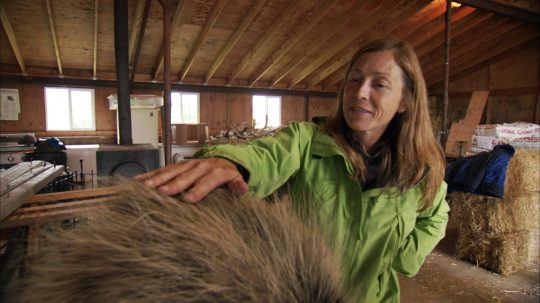 Dr. Oakley, Yukon Vet - 8. epizoda