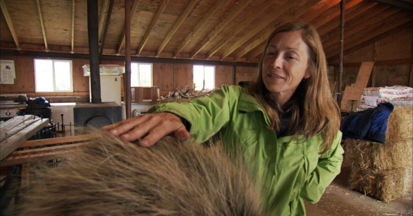 Dr. Oakley, Yukon Vet