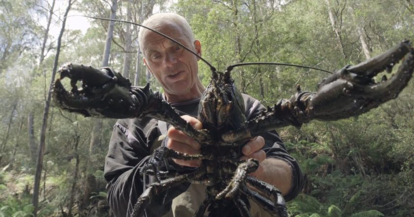 Jeremy Wade's Dark Waters